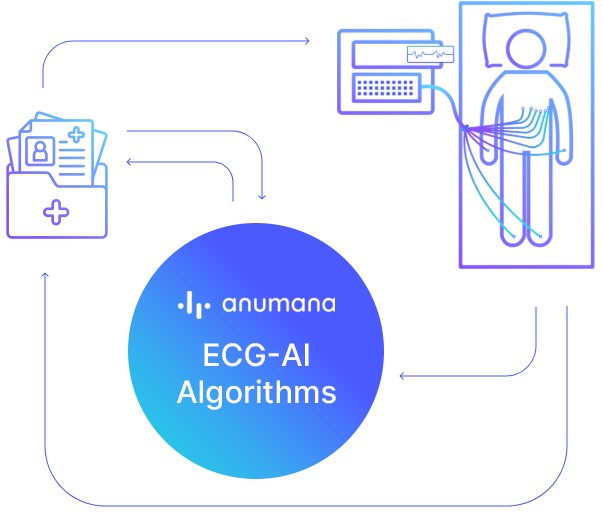 ECG AI Algorithms